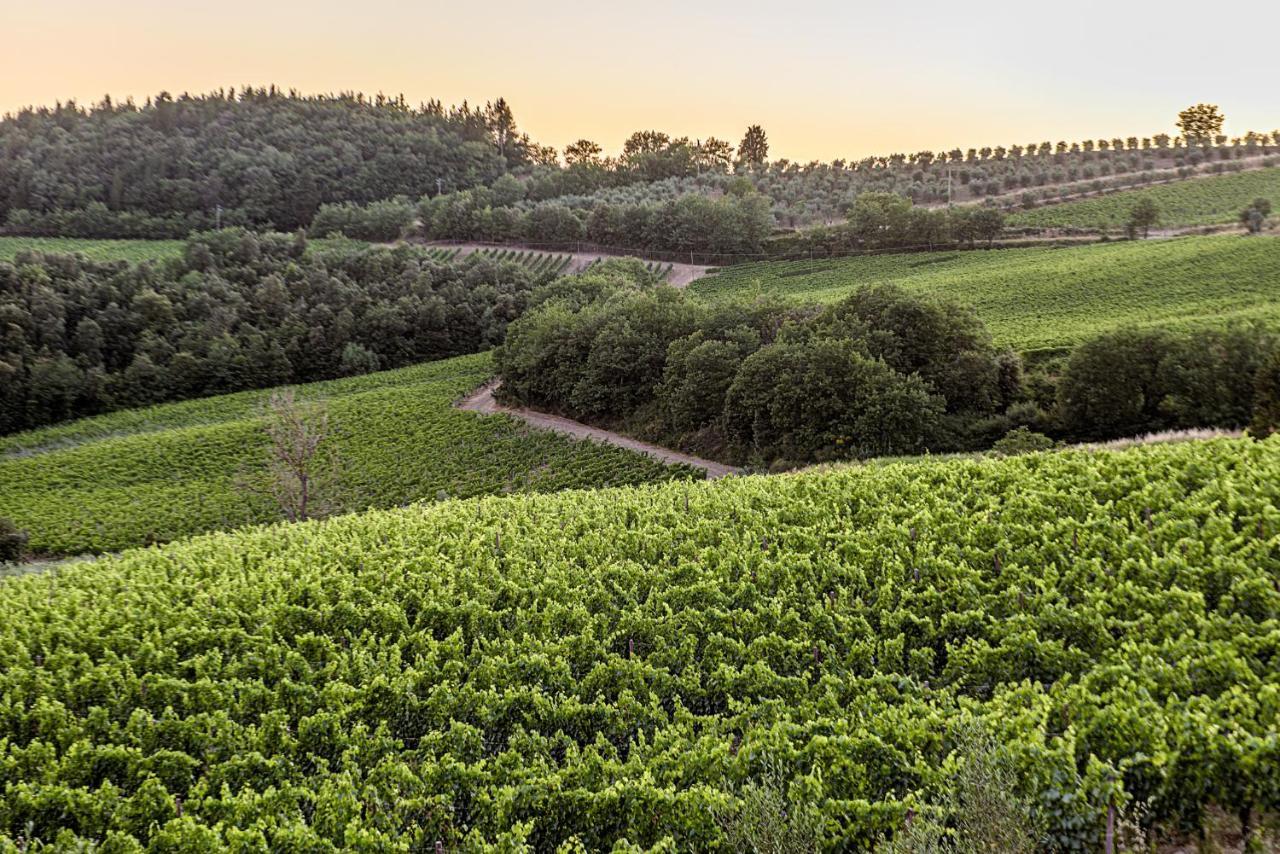 Agriturismo Casa Al Bosco Villa Castellina in Chianti Eksteriør billede