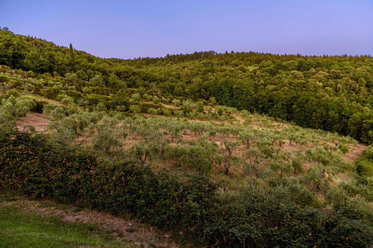 Agriturismo Casa Al Bosco Villa Castellina in Chianti Eksteriør billede